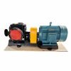 2" Bitumen Jacketed Gear Pump