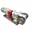 SS304 316 316L stainless steel Lobe Pump