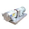 SS304 316 316L stainless steel Lobe Pump