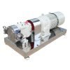 SS304 316 316L stainless steel Lobe Pump