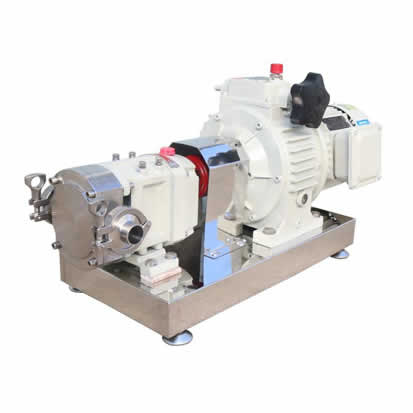 SS304/316L rotary lobe pump for grease