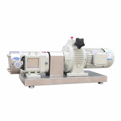 Food grade rotary lobe pump for jam